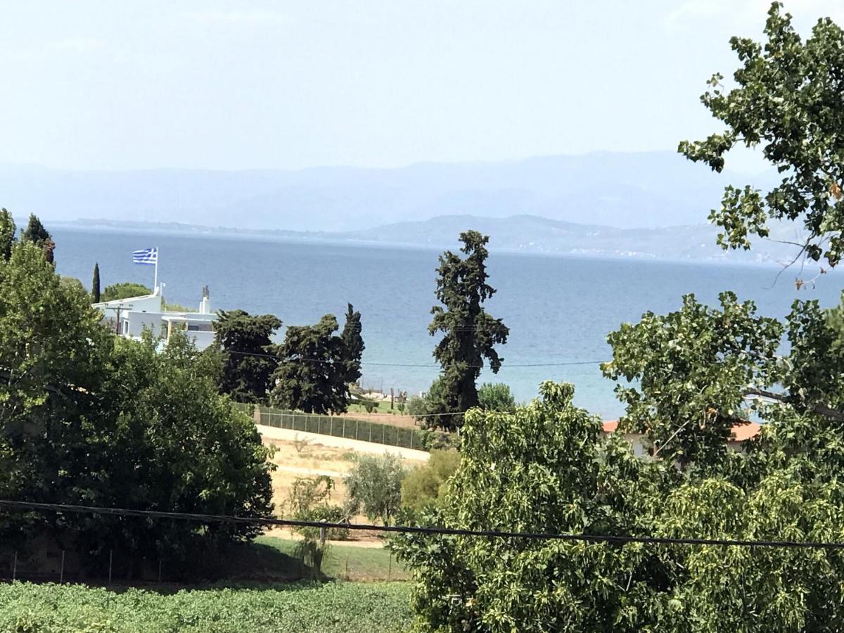 Studio Kalypso Arkítsa Exteriör bild